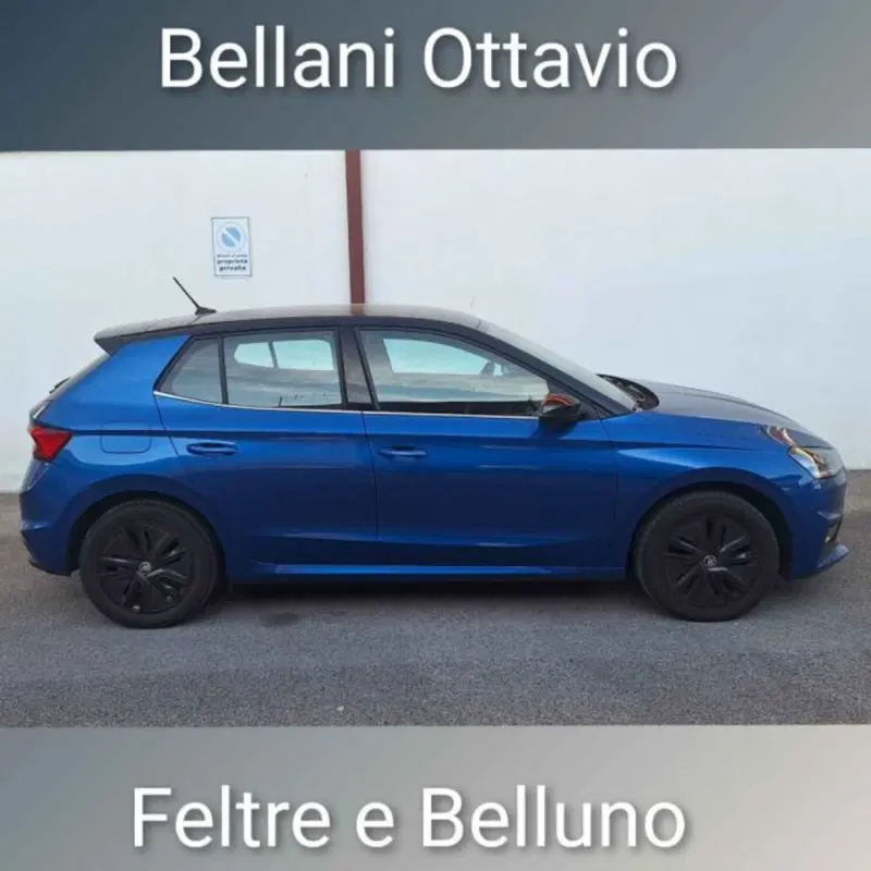 Skoda Fabia usata a Belluno (3)