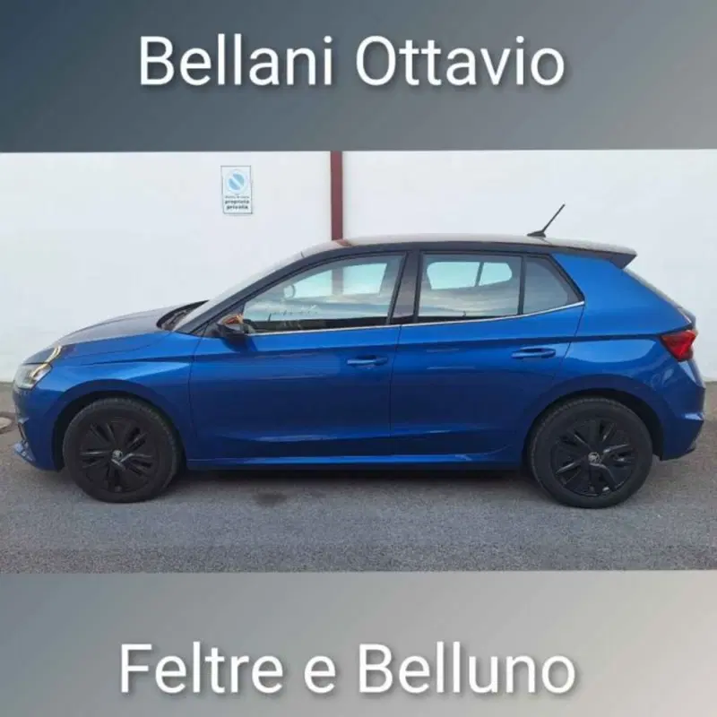 Skoda Fabia usata a Belluno (4)