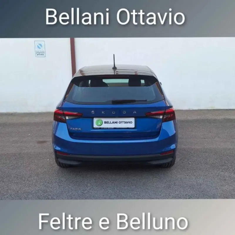 Skoda Fabia usata a Belluno (5)