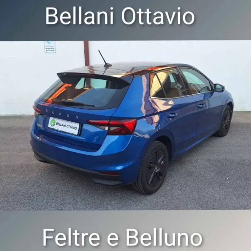 Skoda Fabia usata a Belluno (6)
