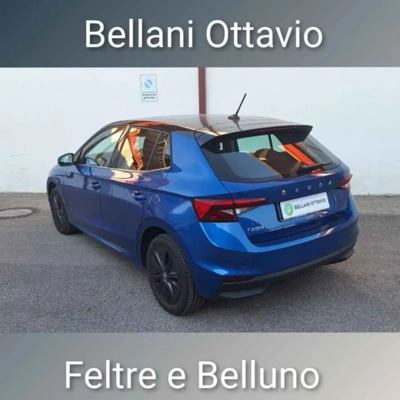 Skoda Fabia usata a Belluno (7)