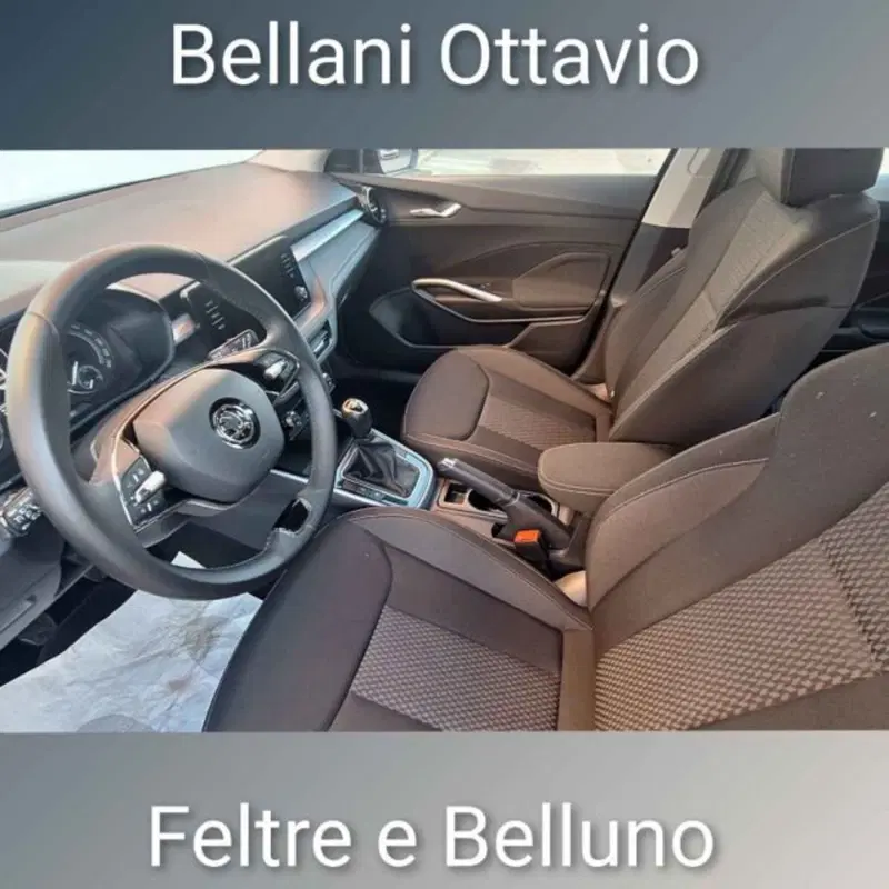 Skoda Fabia usata a Belluno (9)