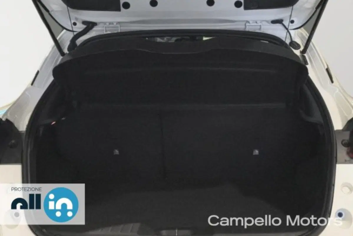 Nissan Juke usata a Venezia (14)