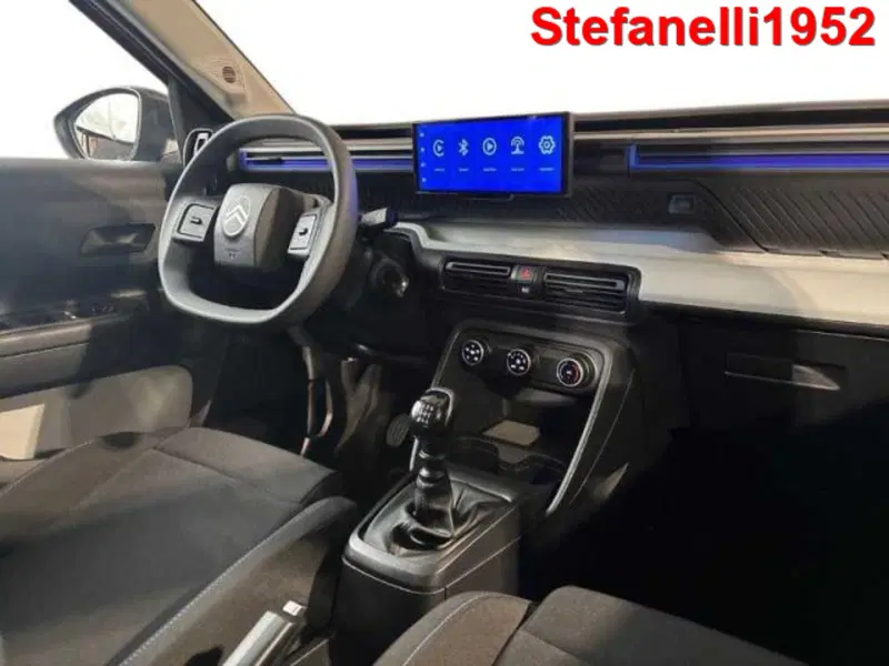 Citroen C3 usata a Bologna (15)