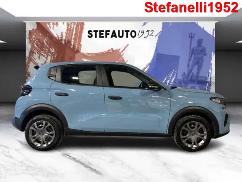Citroen C3 usata a Bologna (3)