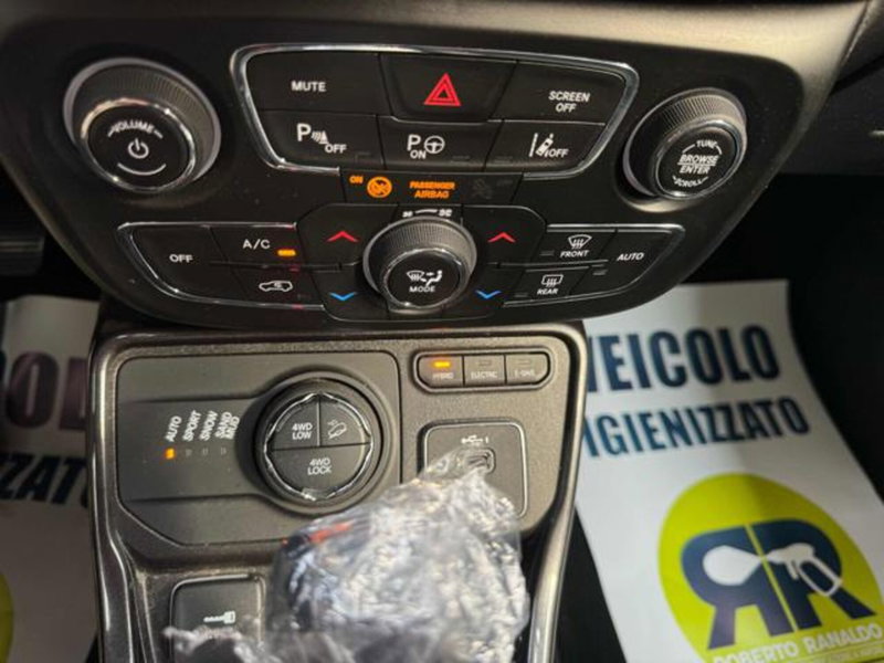 Jeep Compass usata a Vercelli (13)