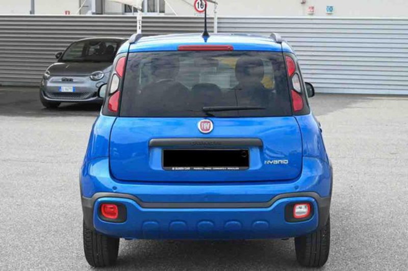 Fiat Panda Cross usata a Torino (18)
