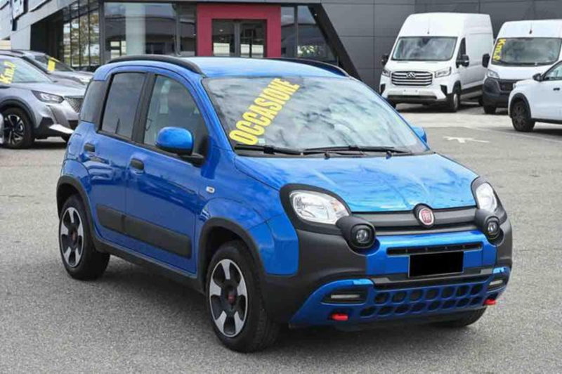 Fiat Panda Cross usata a Torino (2)