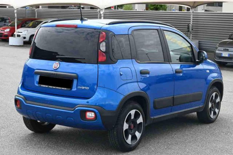 Fiat Panda Cross usata a Torino (3)