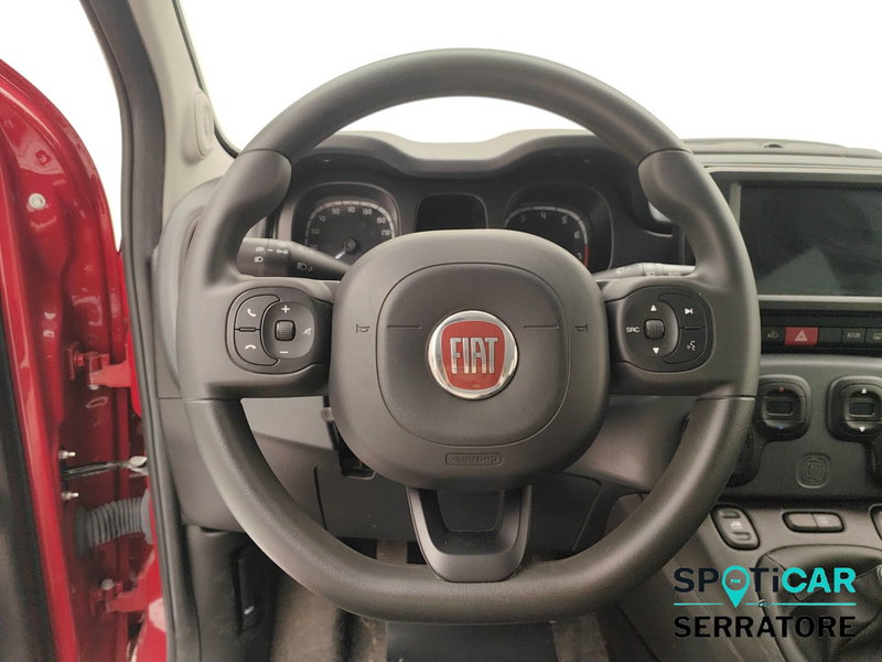Fiat Panda Cross usata a Como (9)