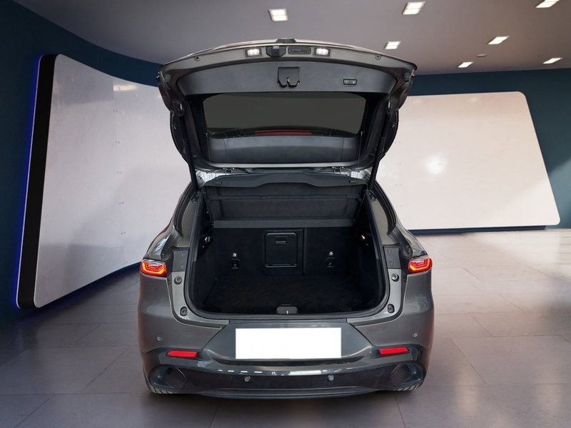 Alfa Romeo Tonale usata a Torino (8)