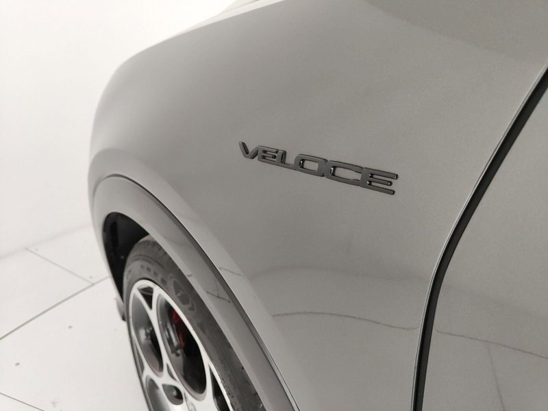 Alfa Romeo Tonale usata a Caserta (13)