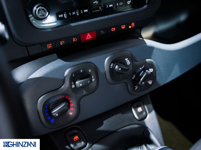Fiat Panda Cross nuova a Bergamo (15)