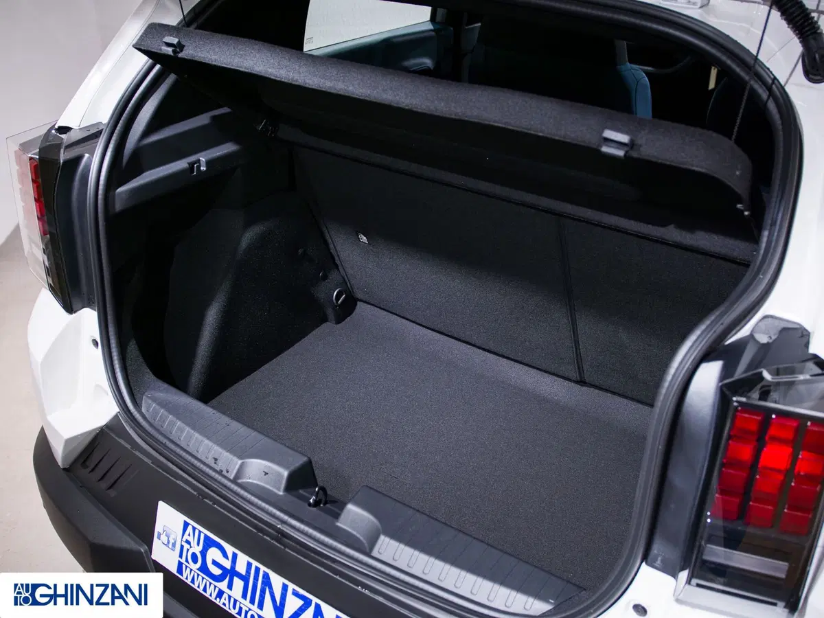 Fiat Grande Panda nuova a Bergamo (13)