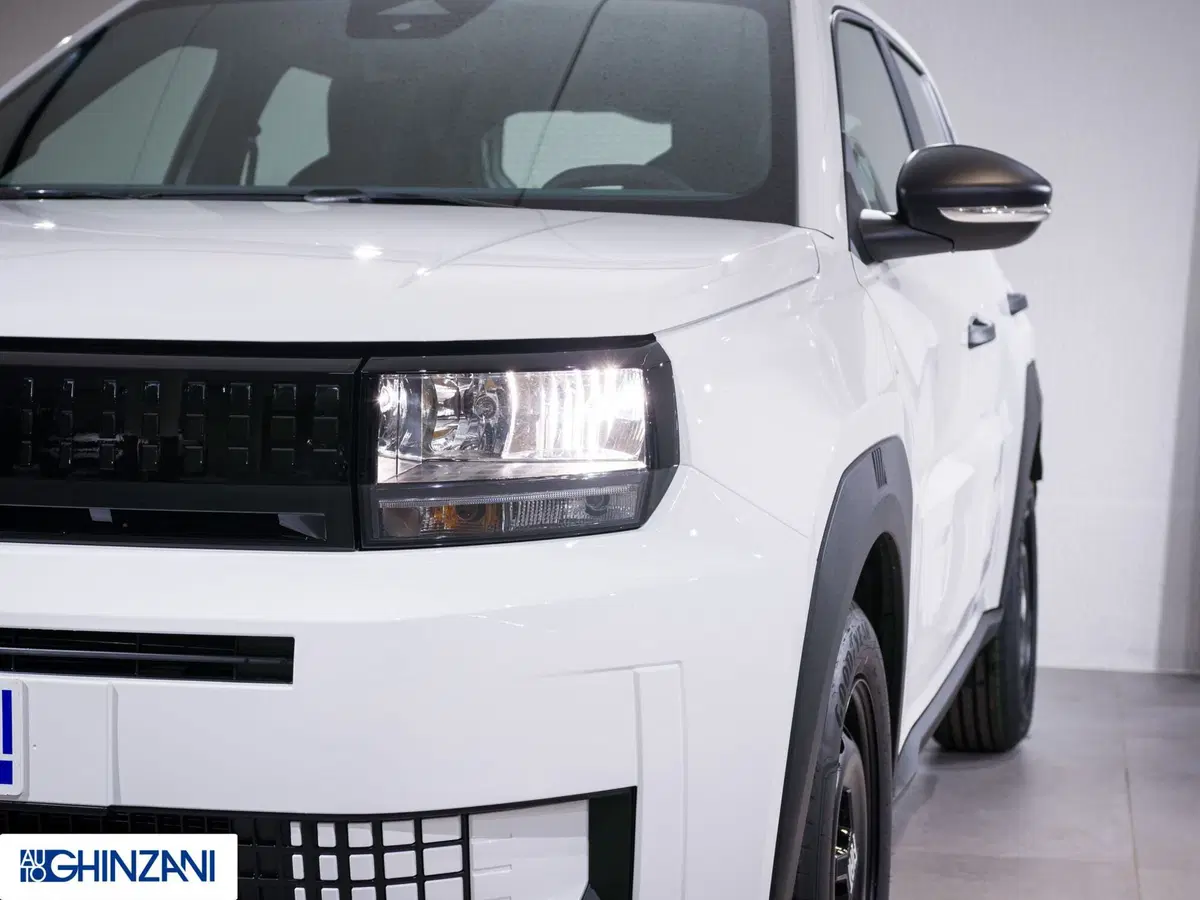 Fiat Grande Panda nuova a Bergamo (18)