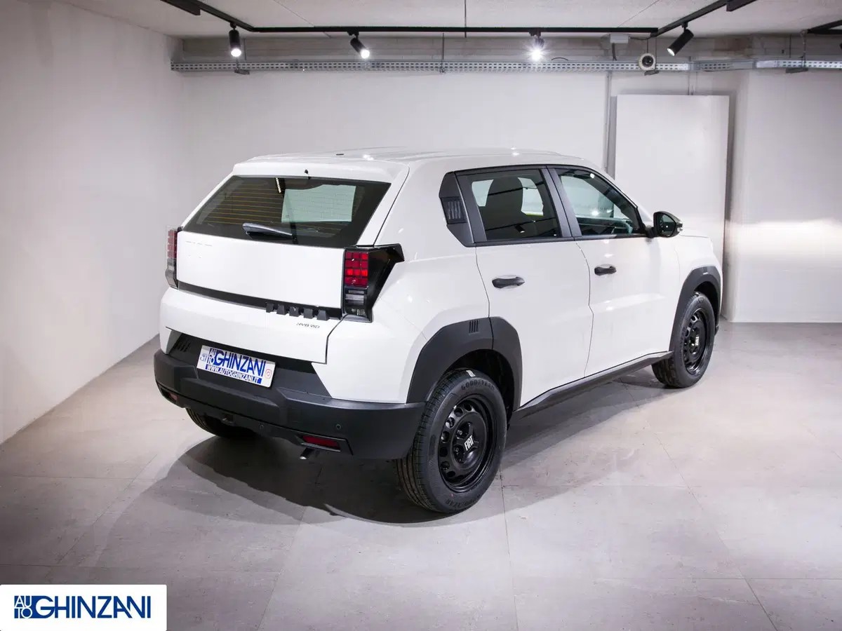 Fiat Grande Panda nuova a Bergamo (7)