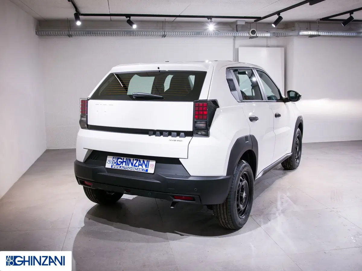 Fiat Grande Panda nuova a Bergamo (8)
