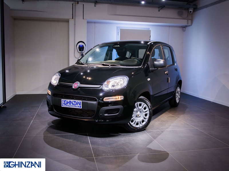 Fiat Panda Cross nuova a Bergamo (2)