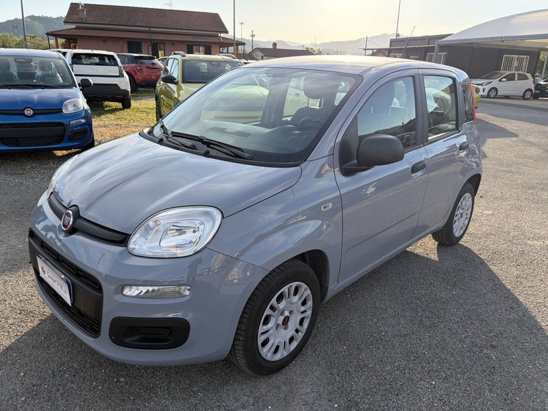 Fiat Panda usata a La Spezia (2)