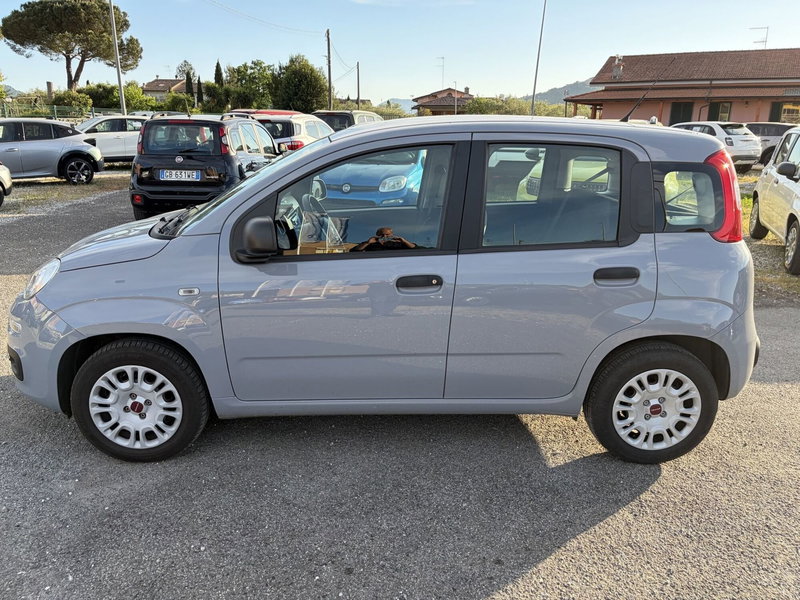 Fiat Panda usata a La Spezia (4)