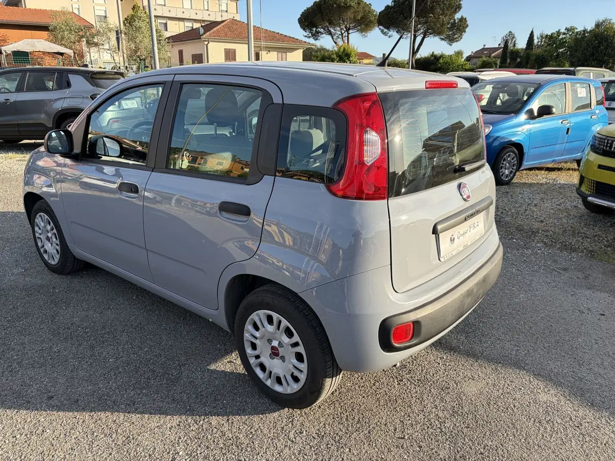 Fiat Panda usata a La Spezia (5)