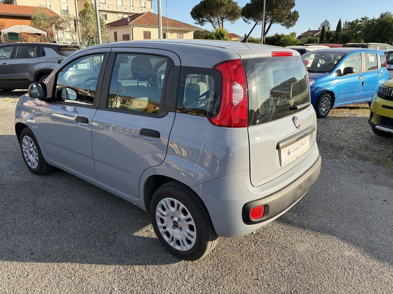 Fiat Panda usata a La Spezia (5)