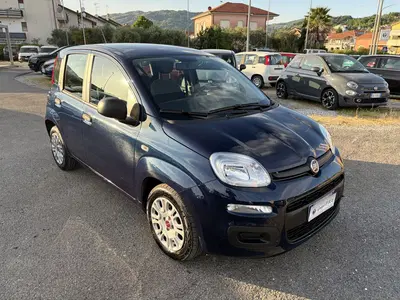 Fiat Panda Cross Cross 1.0 FireFly S&amp;S Hybrid del 2021 usata a La Spezia