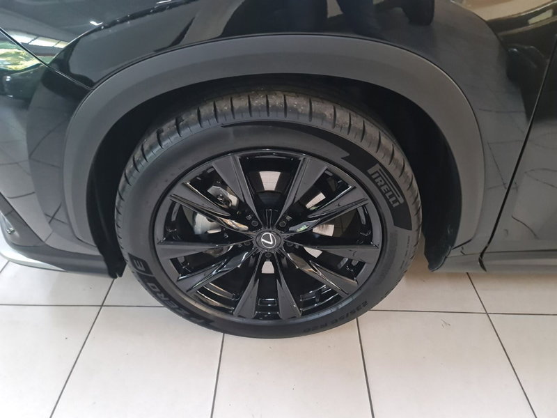 Lexus NX usata a Modena (7)