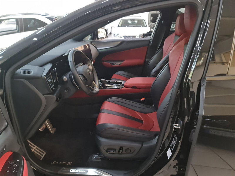 Lexus NX usata a Modena (8)