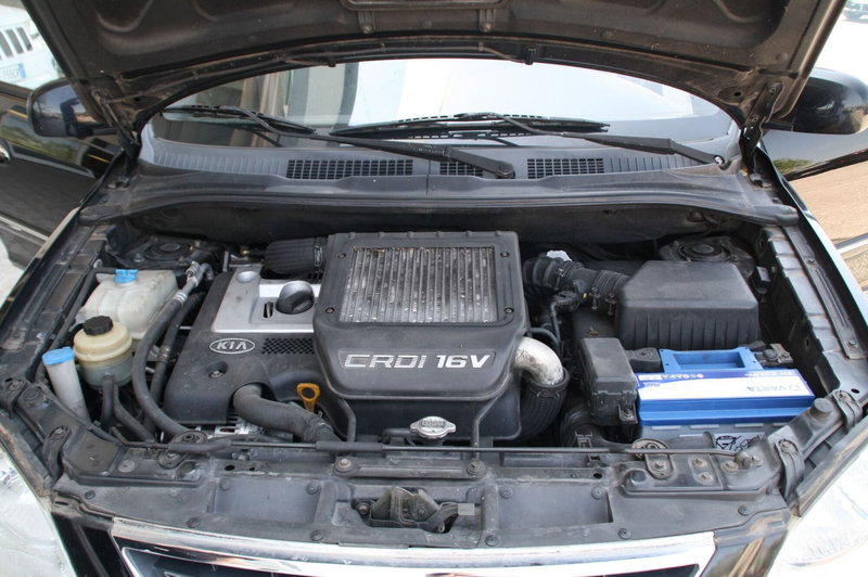 Kia Carens usata a Pordenone (12)