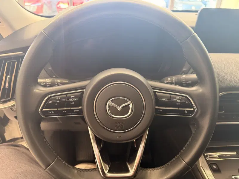Mazda CX-60 usata a Latina (14)