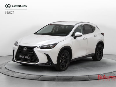 Lexus NX 350h 2.5 Luxury 4wd e-cvt del 2024 usata a Sesto Fiorentino