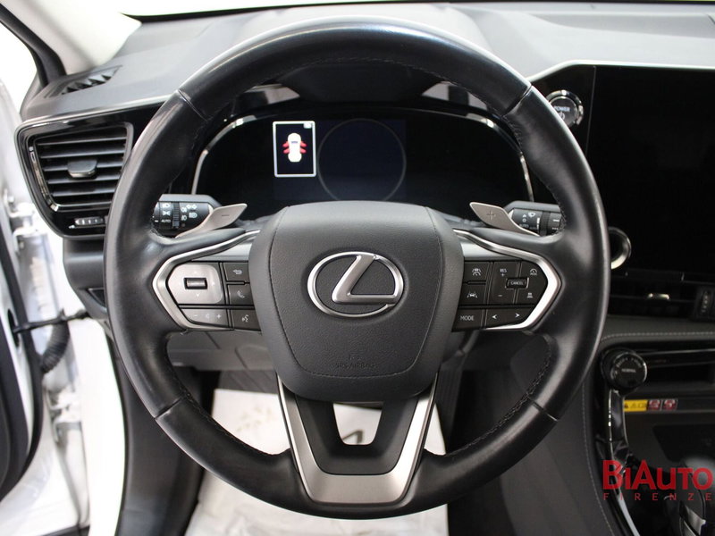 Lexus NX usata a Firenze (11)