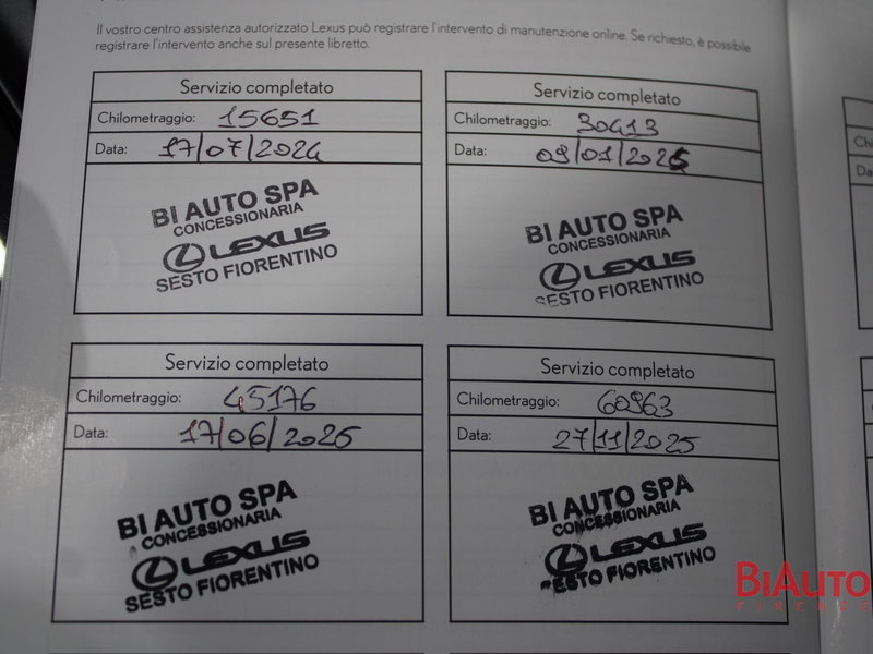 Lexus NX usata a Firenze (18)