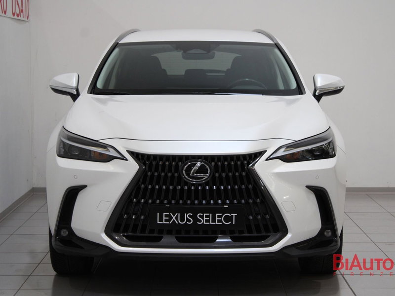 Lexus NX usata a Firenze (4)