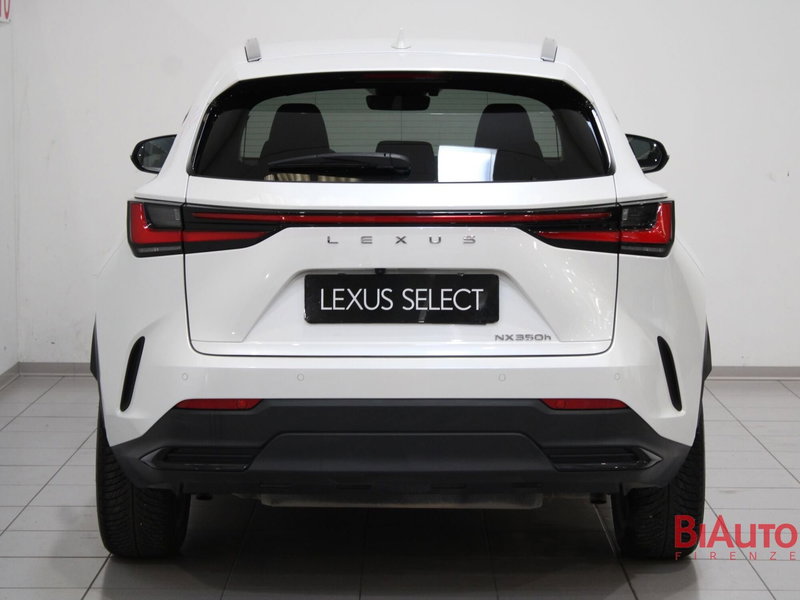 Lexus NX usata a Firenze (5)