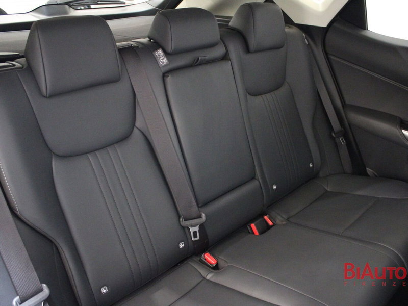 Lexus NX usata a Firenze (8)