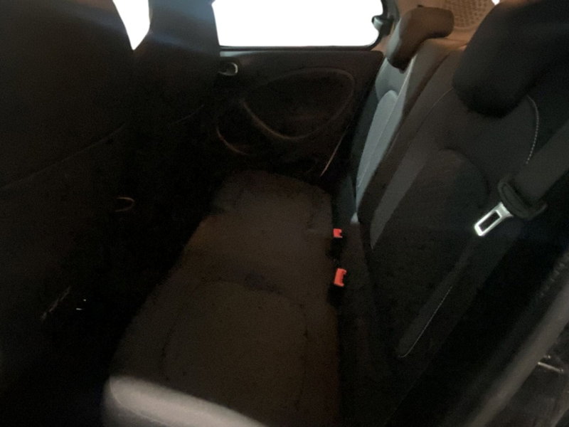 smart forfour usata a Napoli (15)