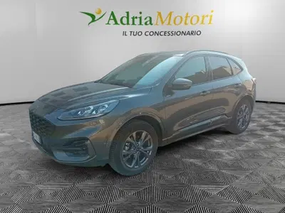 Ford Kuga 2.5 Full Hybrid 190 CV CVT 2WD ST-Line X del 2024 usata a Pordenone