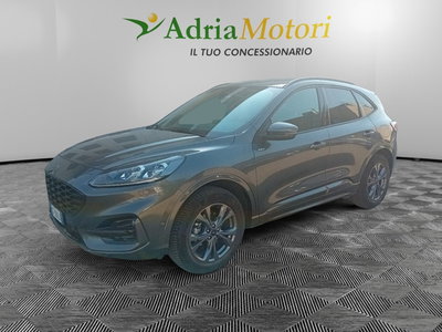 Ford Kuga 2.5 Full Hybrid 190 CV CVT 2WD ST-Line X del 2024 usata a Pordenone