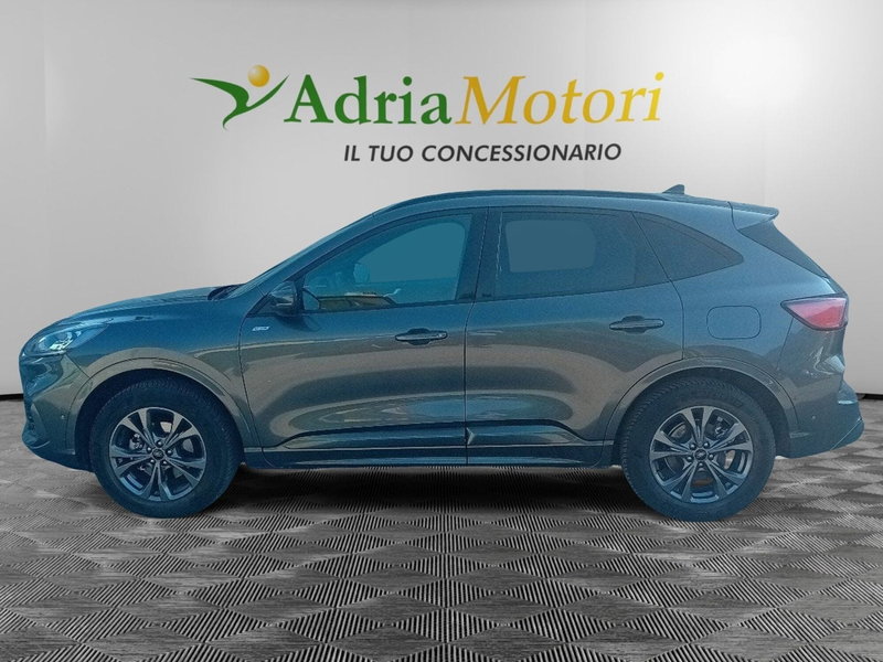 Ford Kuga usata a Pordenone (2)