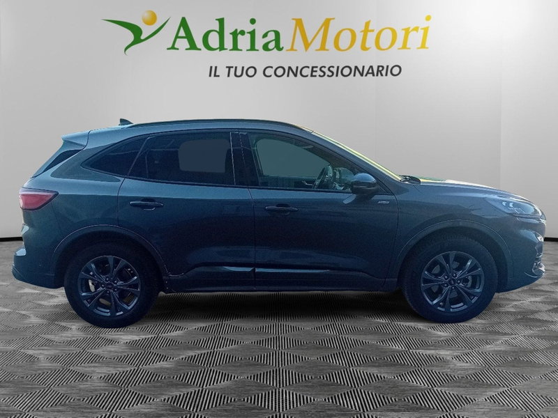 Ford Kuga usata a Pordenone (6)