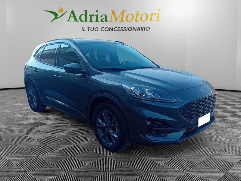Ford Kuga usata a Pordenone (7)