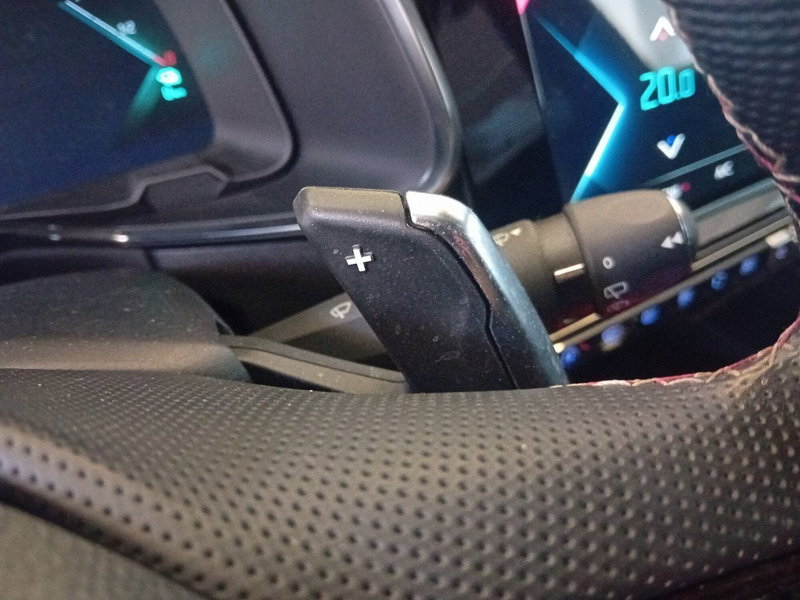 Ds DS 7 usata a Pordenone (19)