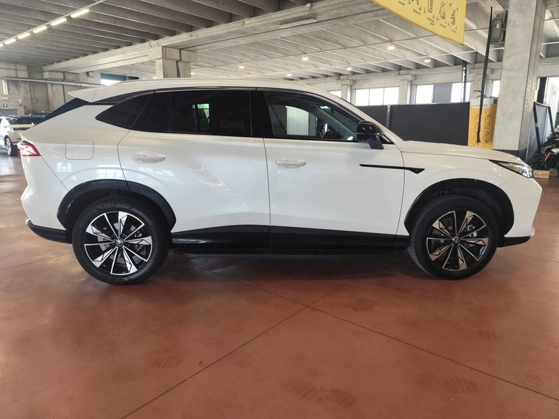 Mg HS usata a Milano (7)