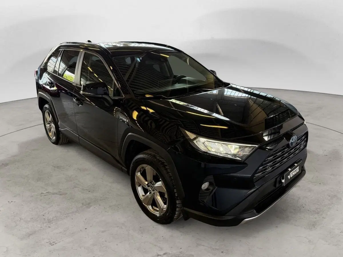 Toyota Rav4 usata a Monza e Brianza (17)