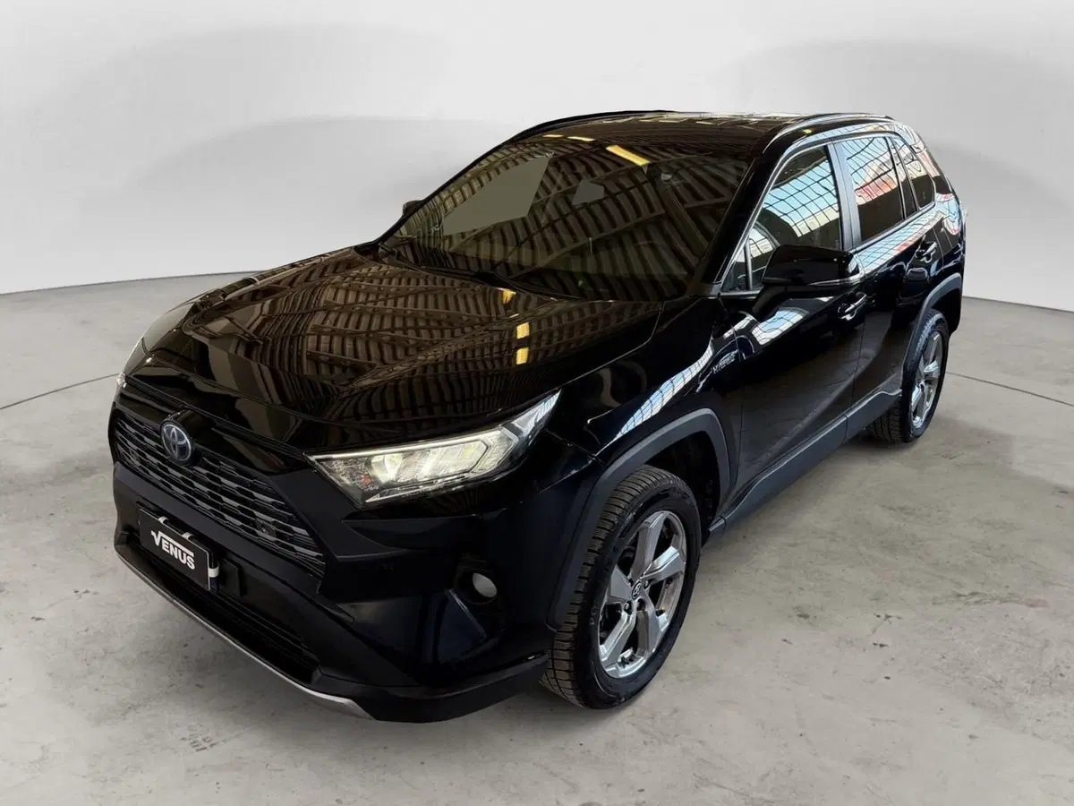 Toyota Rav4 usata a Monza e Brianza (2)