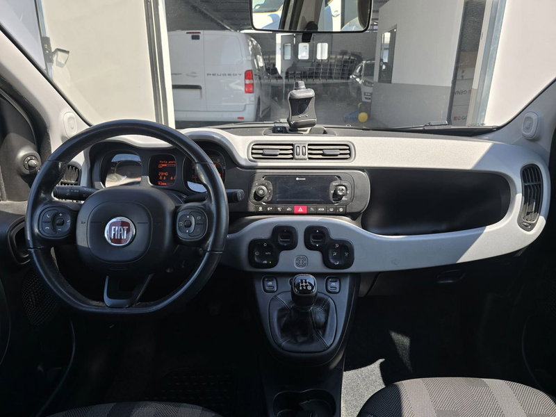 Fiat Panda usata a Massa-Carrara (6)