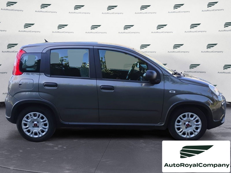 Fiat Panda Cross usata a Roma (10)