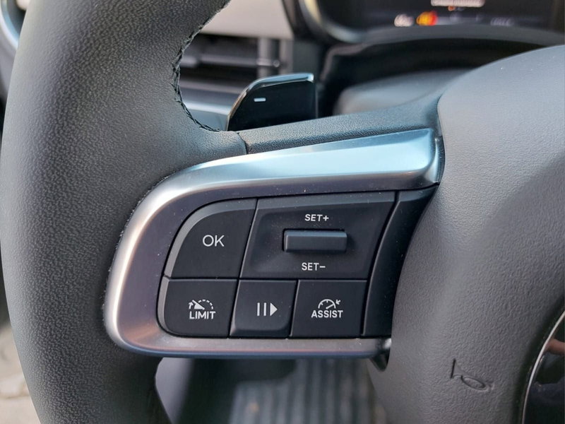 Fiat 600 usata a Pavia (10)